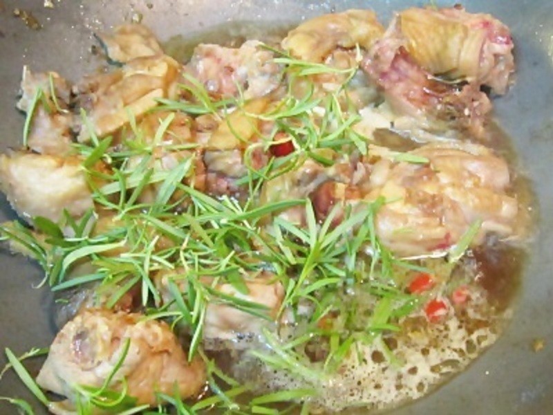 �Ե����ݮ���������������������