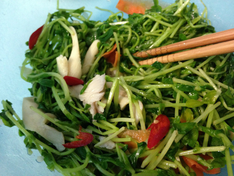 �����������-����������ߵ�����