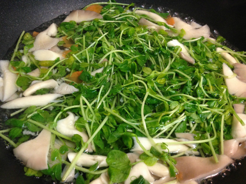 �����������-����������ߵ�����