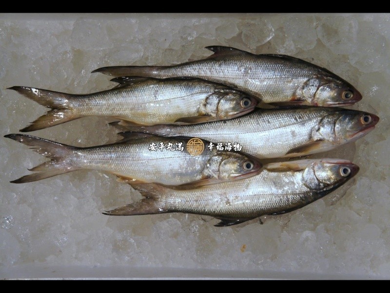 ���������������