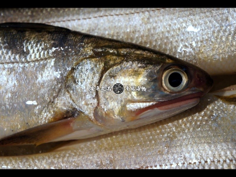 ���������������