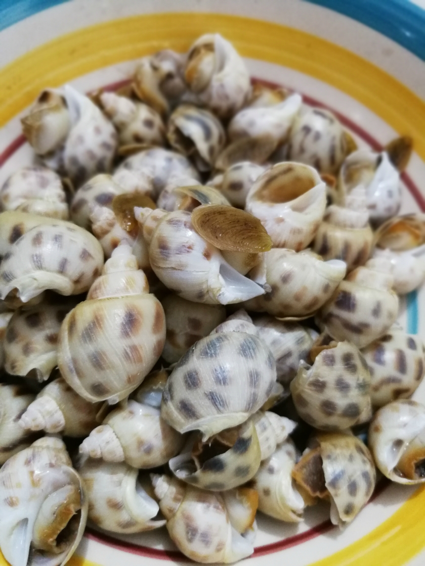 ��ĩ���ݵ�����