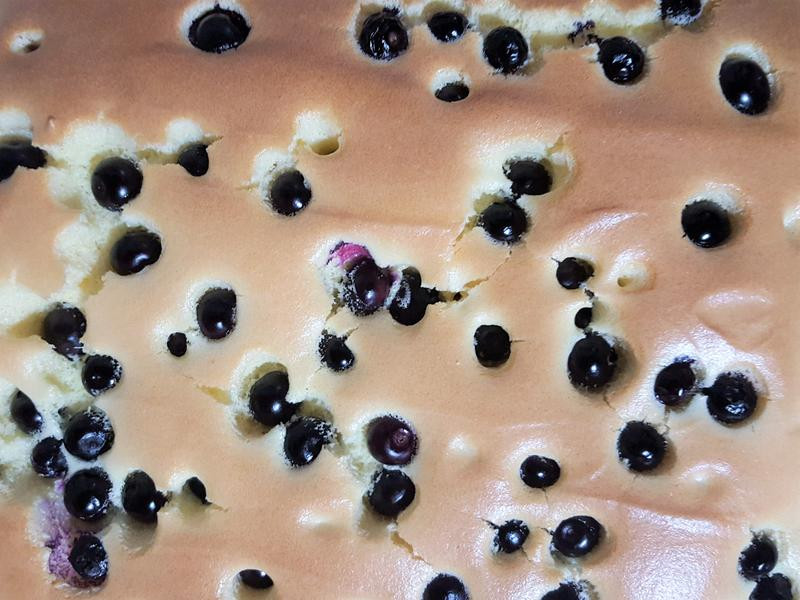 ��ܽ����ݮ�Ÿ񵰸������