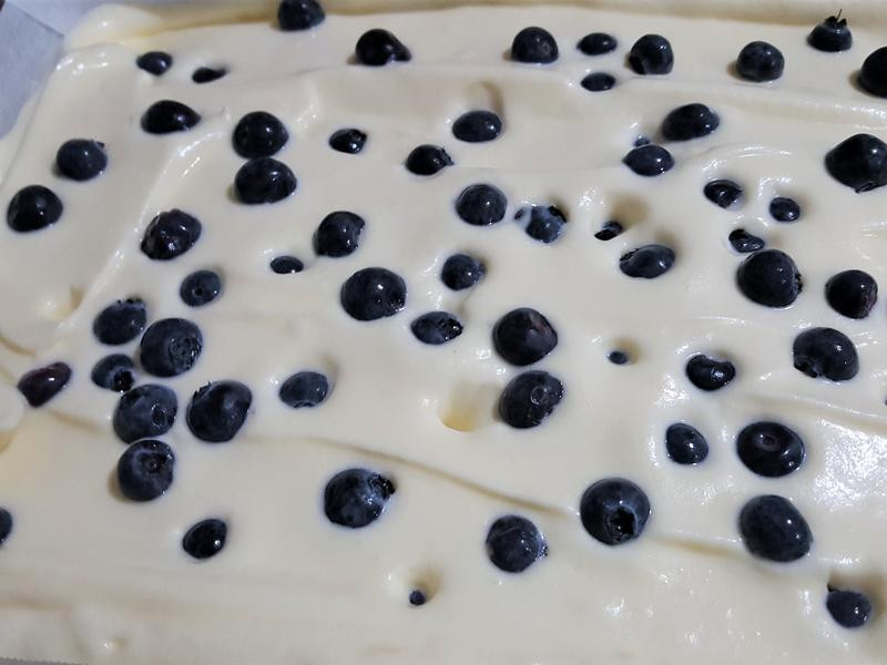 ��ܽ����ݮ�Ÿ񵰸������