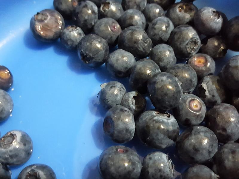 ��ܽ����ݮ�Ÿ񵰸������