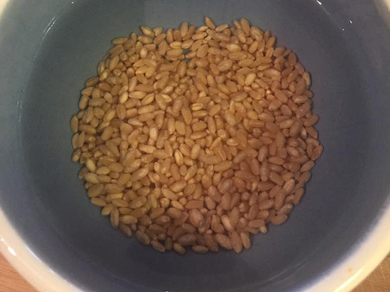 �ϹϺ춹�����������