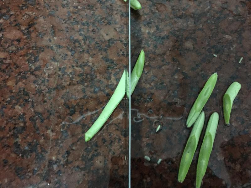 ���⳴���ߵ�����