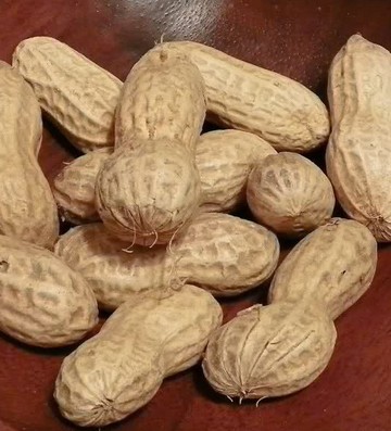 �̸ɻ���������