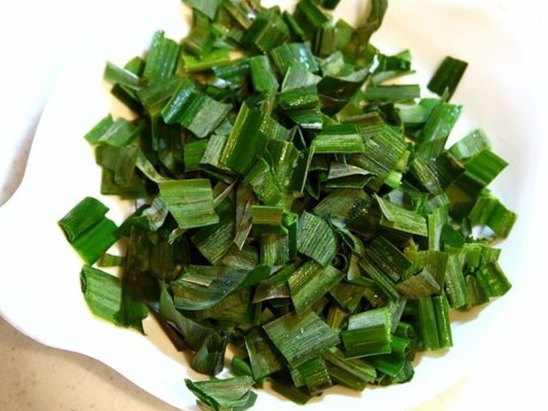 ����Ҷ��ζ�Ŀ�Ҭ�� KAYA������