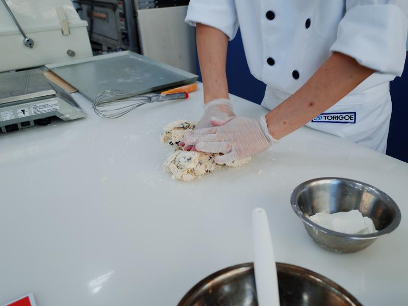 ������������˾��������