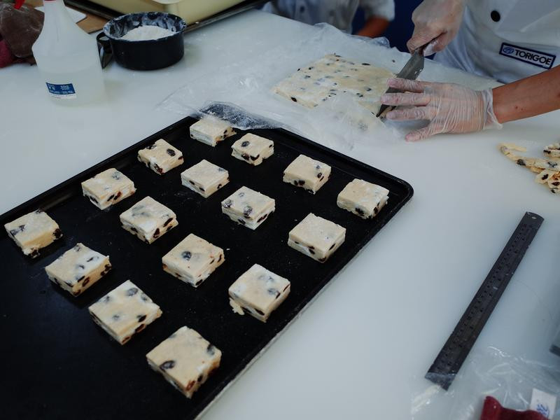 ������������˾��������