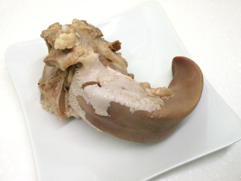 ����������� ?���Ÿ���Ʈ������?������