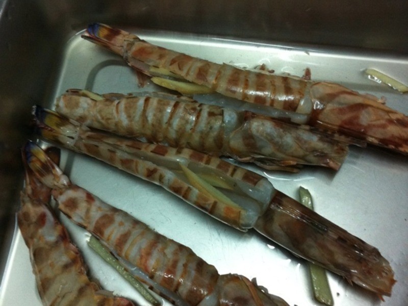 ���������XO����Ϻ������