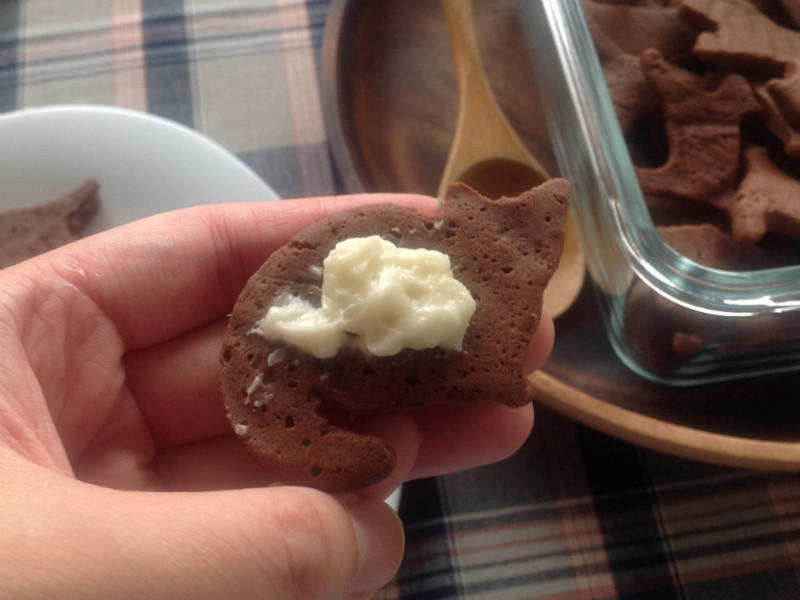 ���˵ĵ��ģ���è��ݼ��ı��ɵ�����