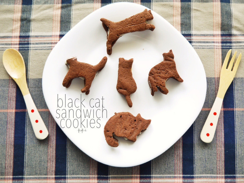 ���˵ĵ��ģ���è��ݼ��ı��ɵ�����