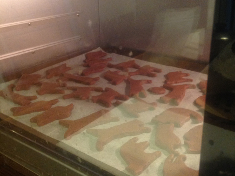 ���˵ĵ��ģ���è��ݼ��ı��ɵ�����