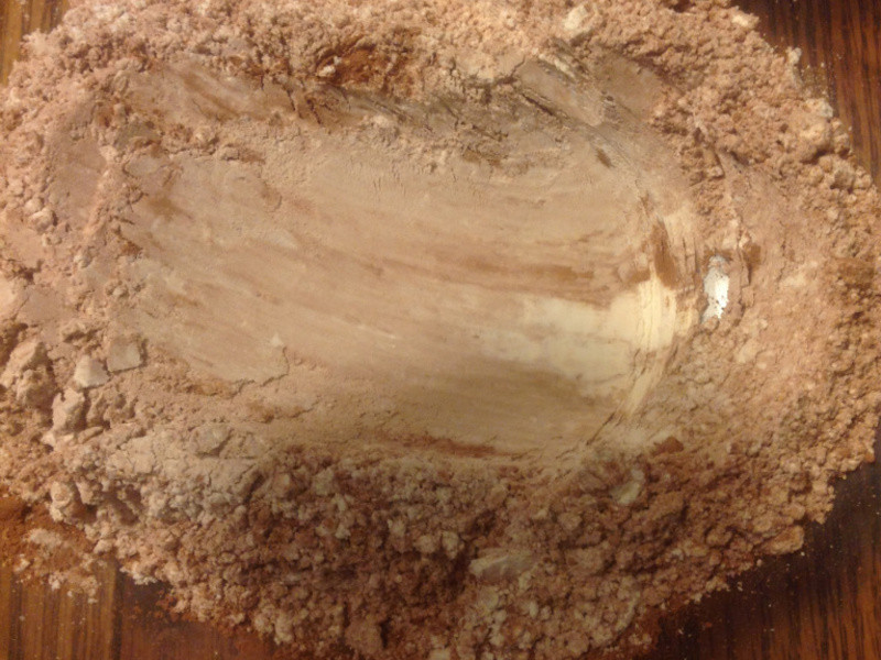 ���˵ĵ��ģ���è��ݼ��ı��ɵ�����