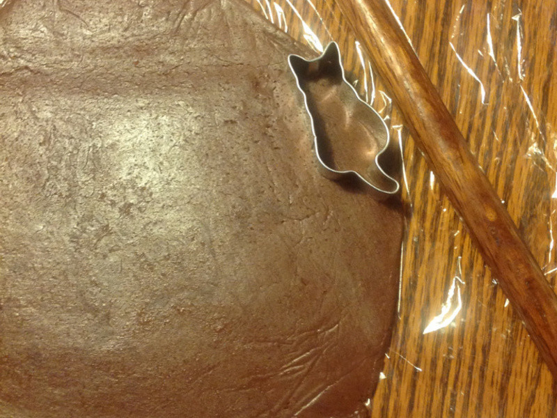 ���˵ĵ��ģ���è��ݼ��ı��ɵ�����