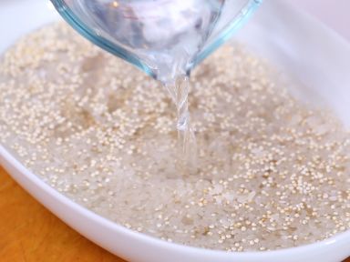 ������޼�������¶��������