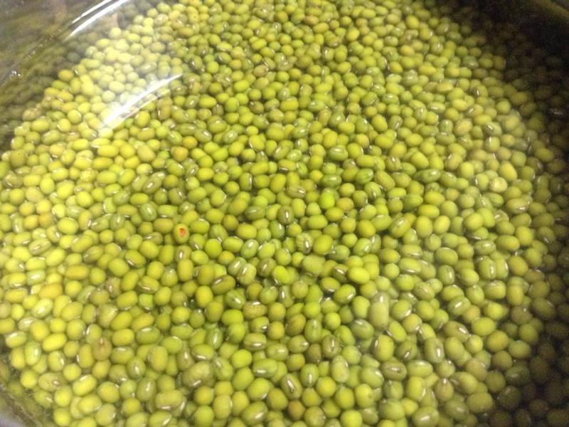 �ع��̶���Ƭ�������