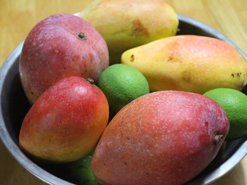 â�����ʹ���������