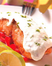 �㿾�Ÿ����������