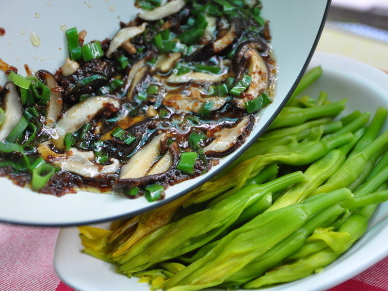 ������ﹽ�����������