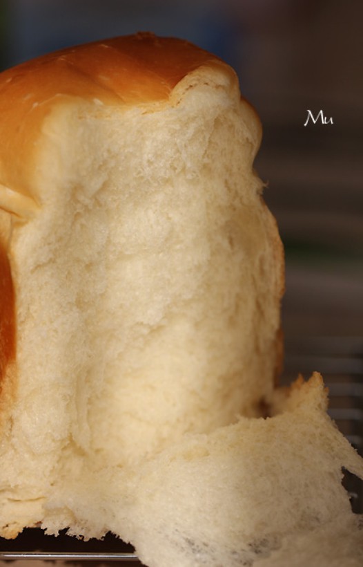 ������˾������