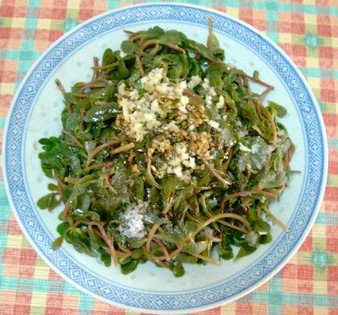 �������ȵ�����