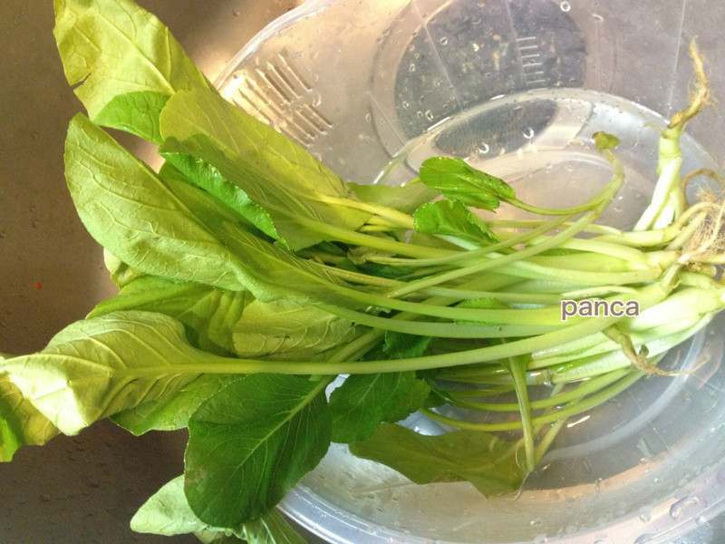 ζ�ᶹ���������������������������ֿ��ݲ���ʳ�׵�����