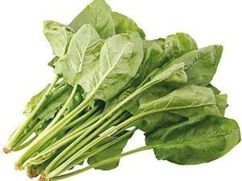 ��ʽС�ˡ����貤�˵�����