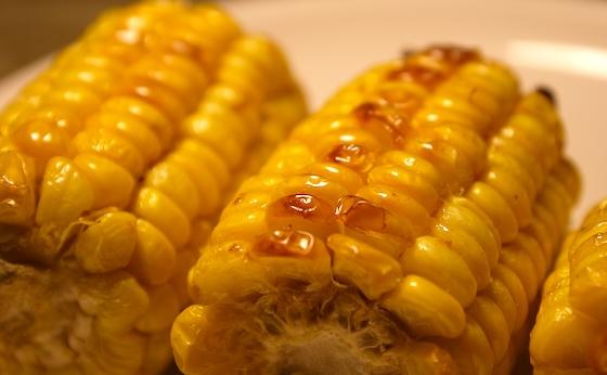 �����׵�����