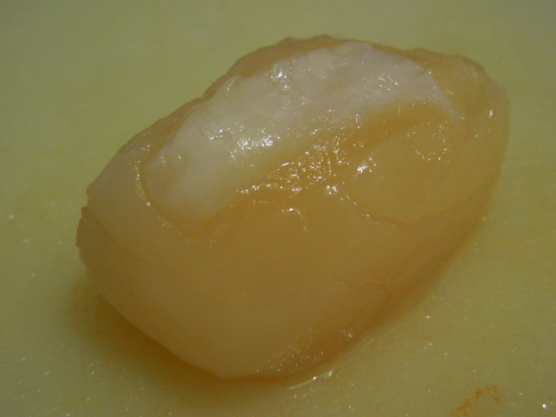 ���ɱ���ɯɯ��������