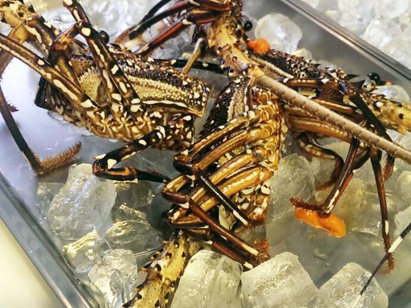 ���Sʳ�ڡ�����������ݿ���Ϻ������