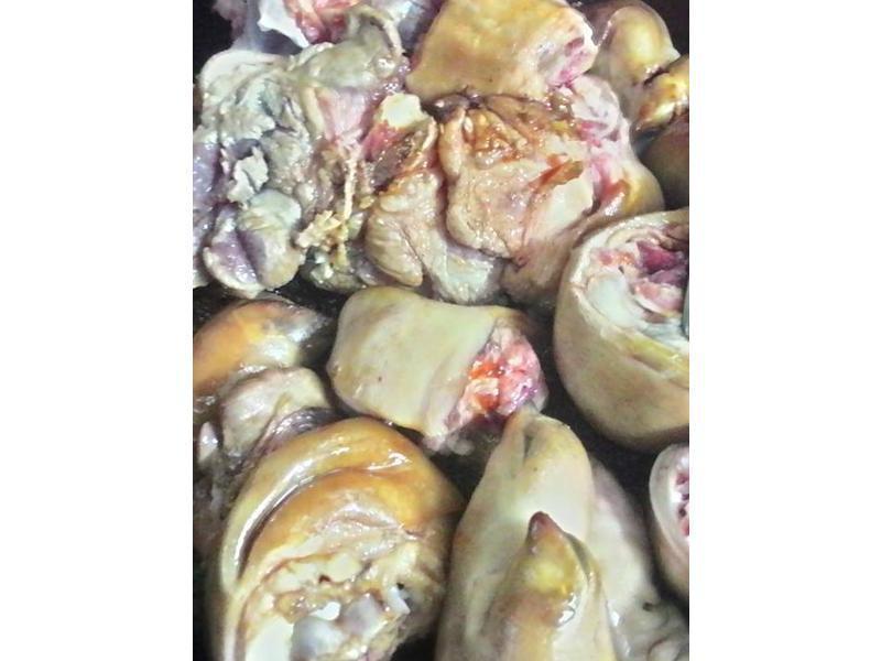 ơ��±���ŵ�����