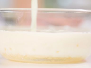 ���������̵�����