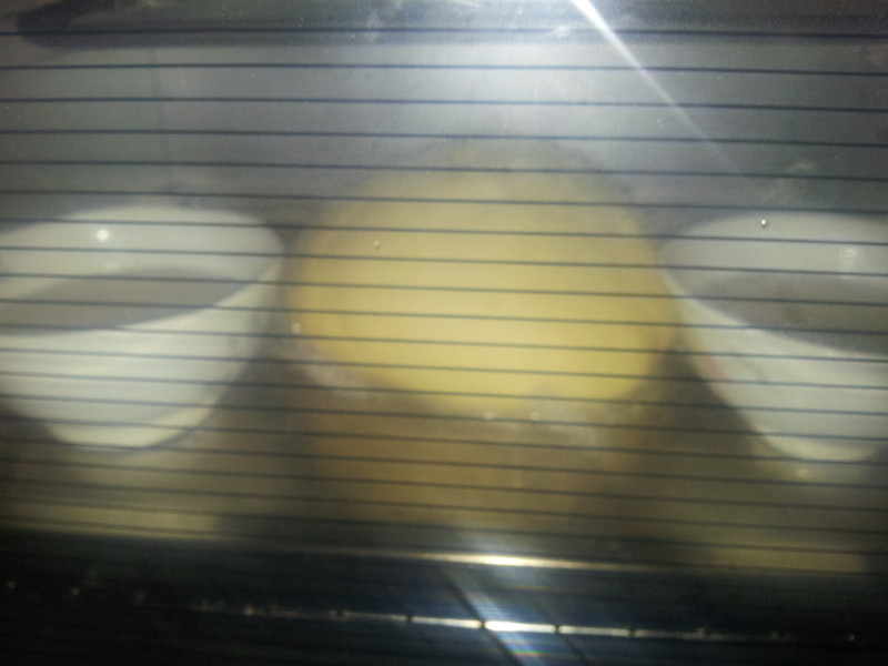 �������ֲ������������