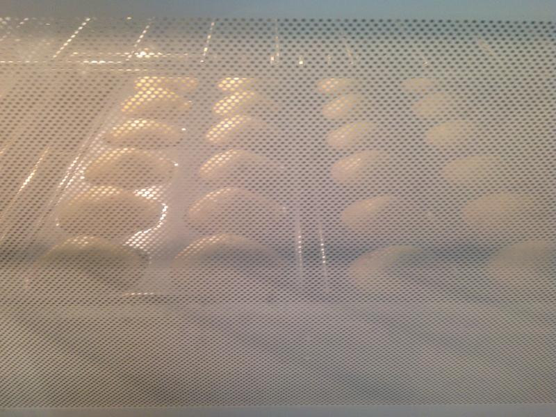 ��ʽ�����������ǵ��������