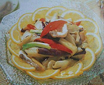 ��������Ƭ������