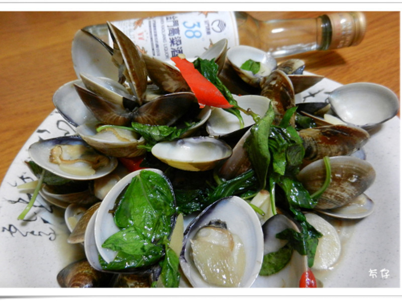 �������-���Ÿ���Ʈ������������