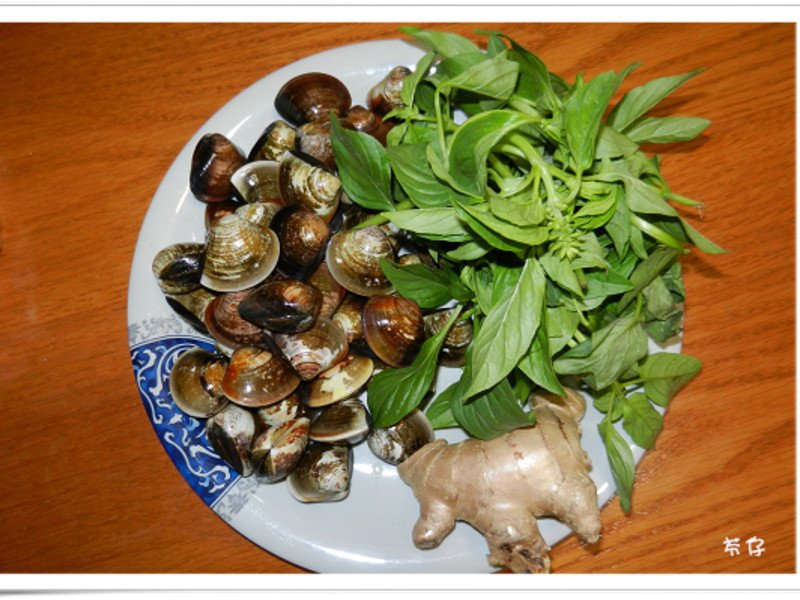 �������-���Ÿ���Ʈ������������