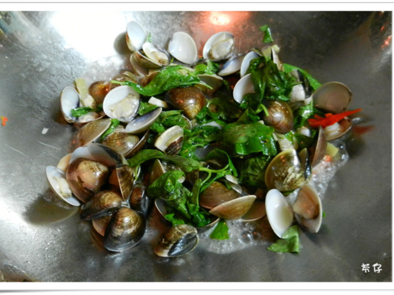 �������-���Ÿ���Ʈ������������