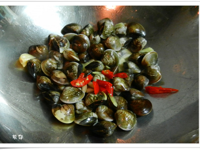 �������-���Ÿ���Ʈ������������