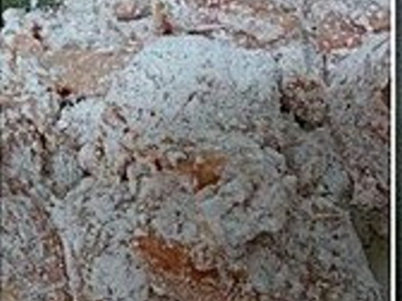 ��ʽ�ݲ����ּ�������