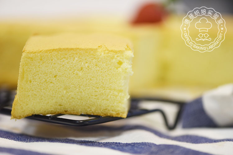 ��ʽ�����ݷ絰������������