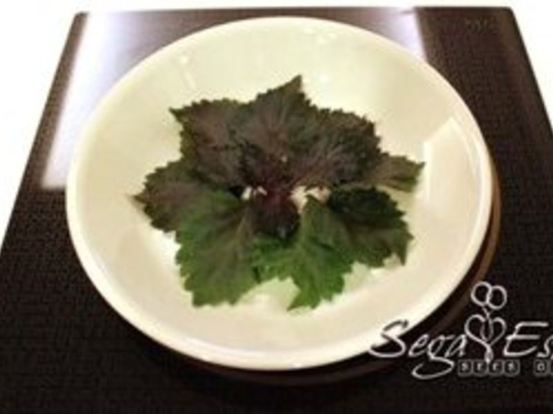 ÏÄÈÕÏûÊîÁÏÀí - ºÍ·ç×ÏËÕÁ¹°è¹½µÄ×ö·¨