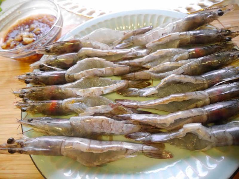 ?������Ϻ?��Ϻ��ѡ���ƶ˱�����ʳ�ҡ�������