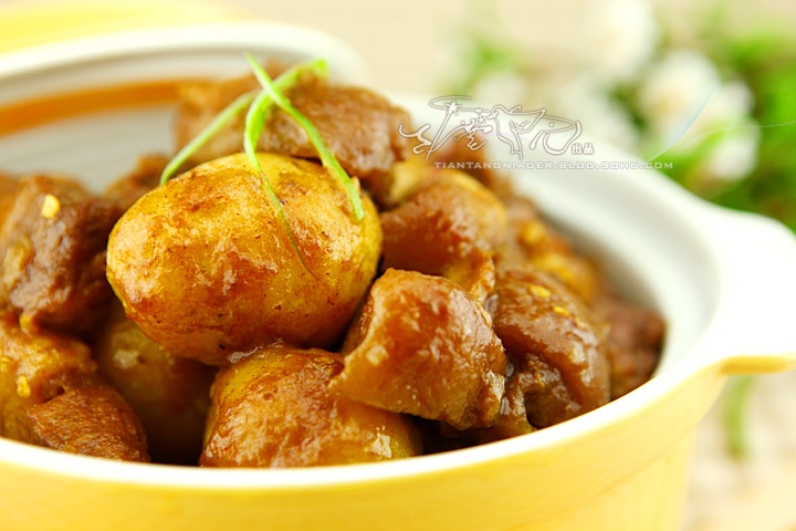 ������������������ӵ�����