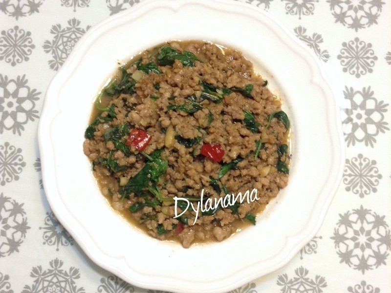 DYLANAMA ? ̩ʽ������������