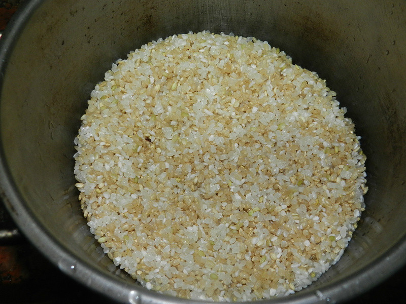 ��ħʦ���չ���������~�ڹǼ������������